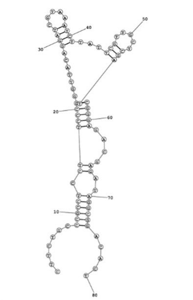 M03 structure