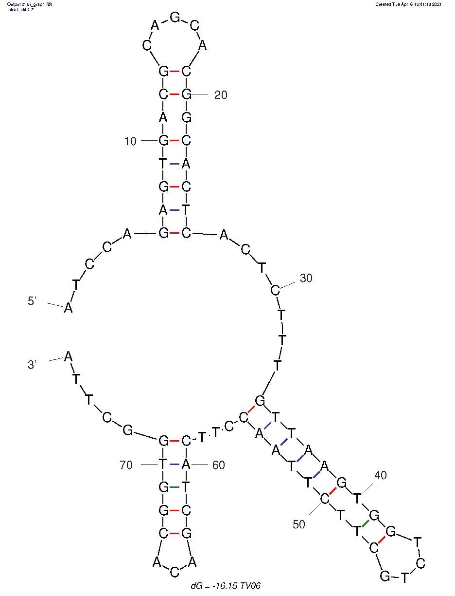 TV06 structure