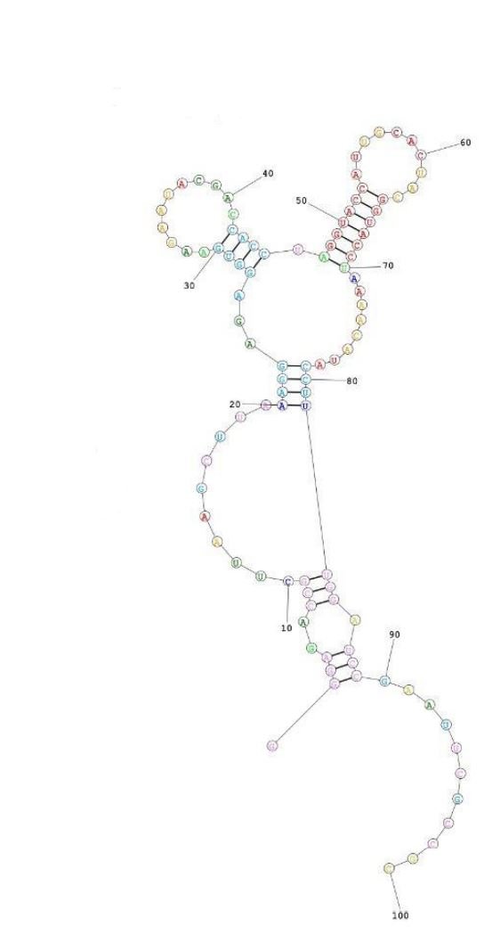 P2MC structure