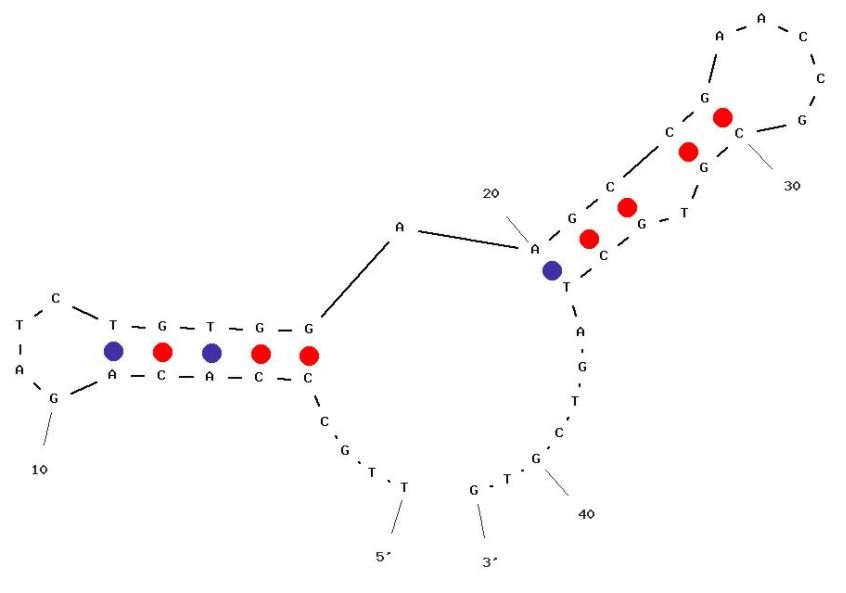 XA-A9 structure