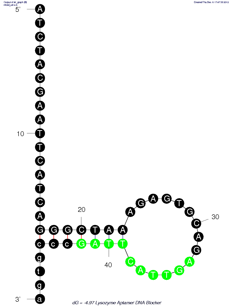 DNA Blocker (Part of Lysozyme Aptasensor) structure