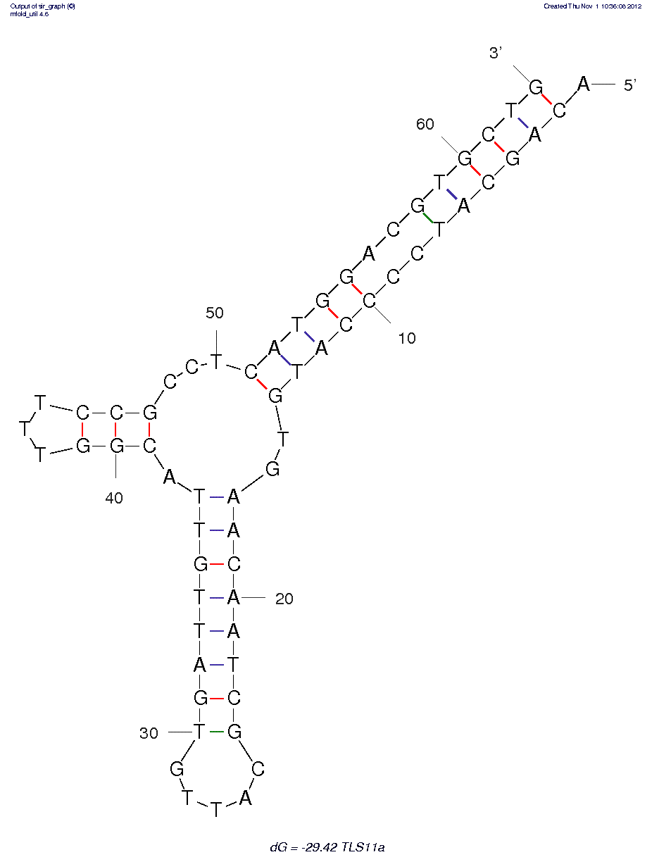 Human Hepatocellular carcinoma (TLS11a) structure