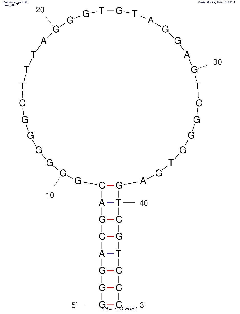 FUB4 structure