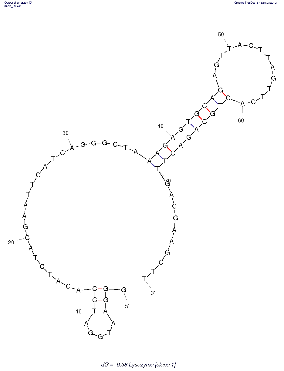 Lysozyme (Clone 1) structure