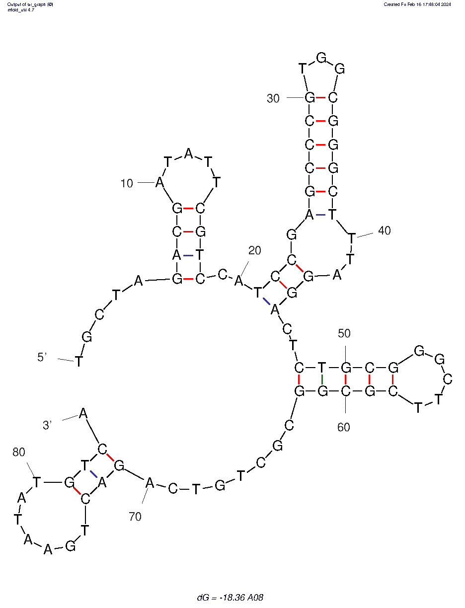 A08 (Glyphosate Aptamer) structure