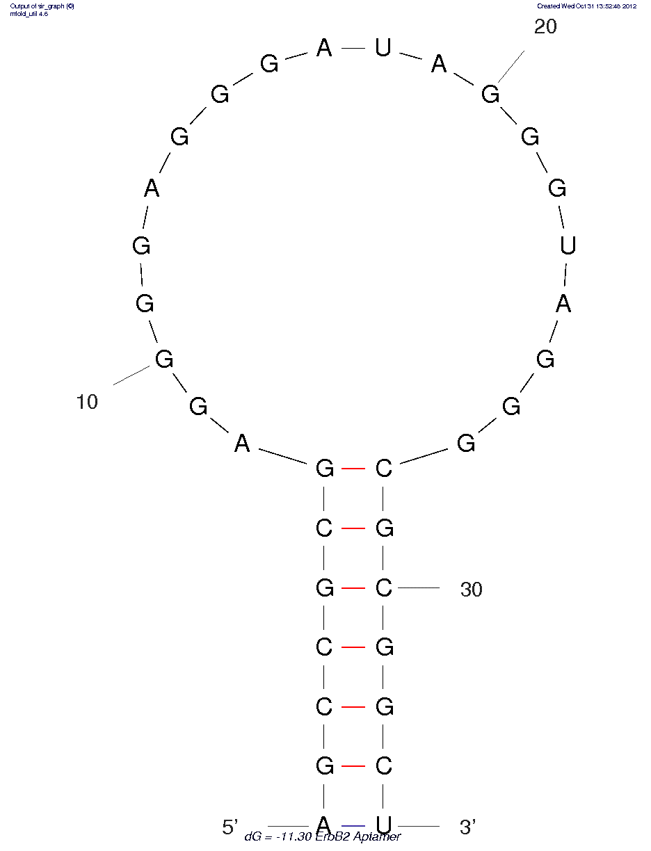 ErbB2 (SE15-8) structure