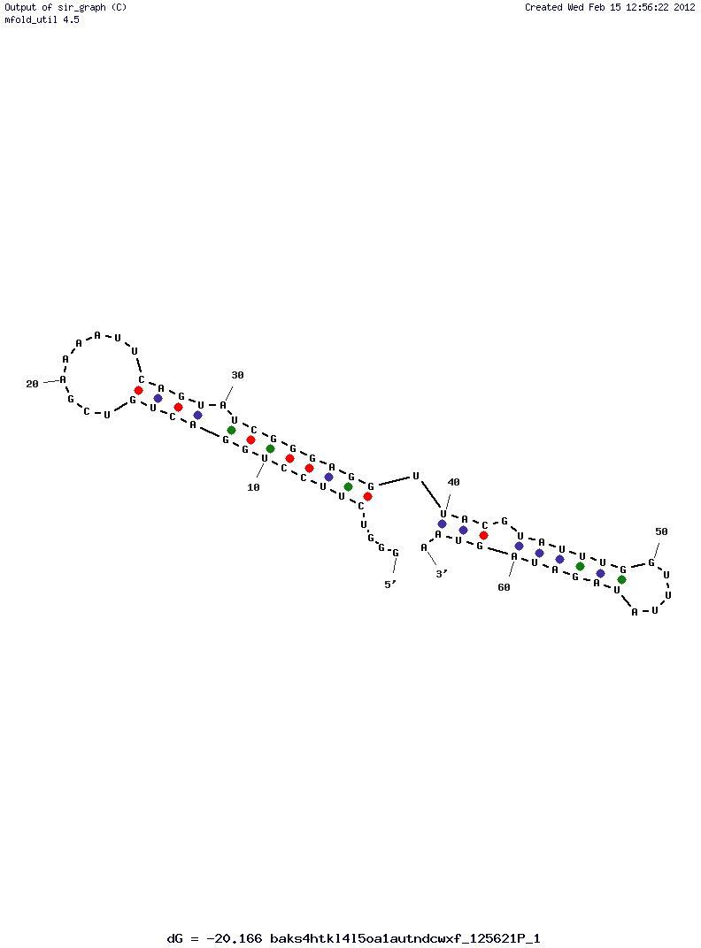 Escherichia coli (E. coli) O157:H7 structure