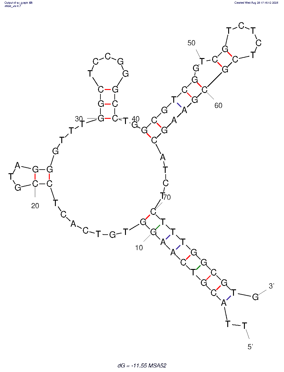 MSA52 structure