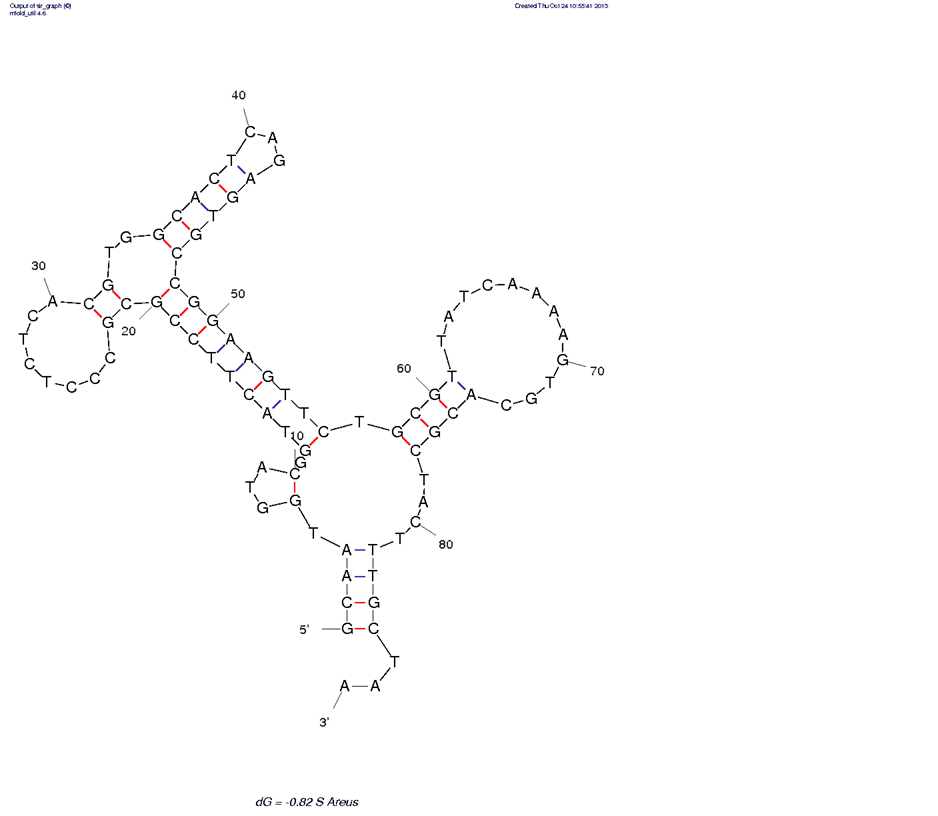 Anti  Staphylococcus aureus (SA20) structure