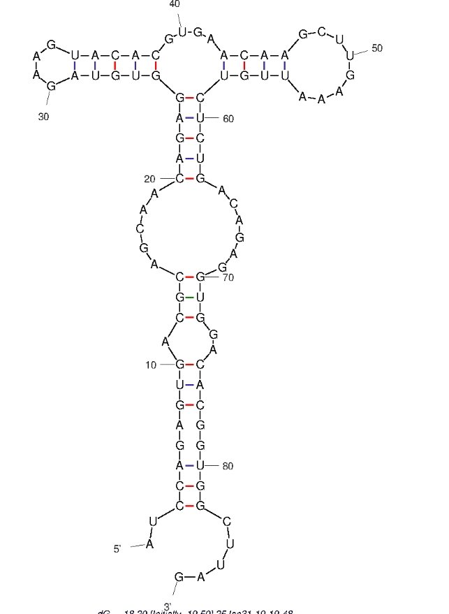 A3 structure