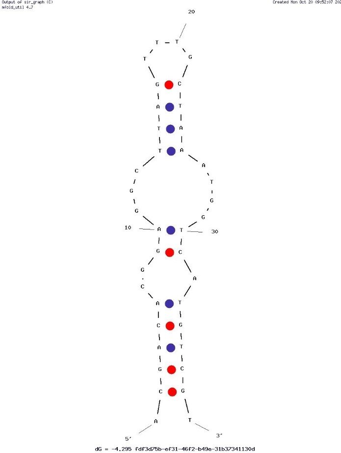 Ade1304b structure