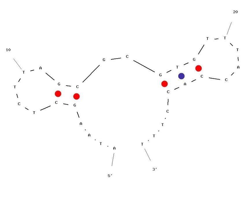 Brb7 structure
