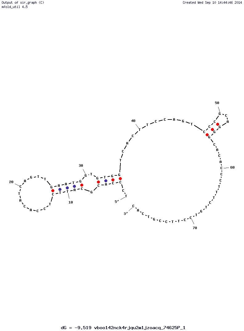 Aptamer ID 3 structure