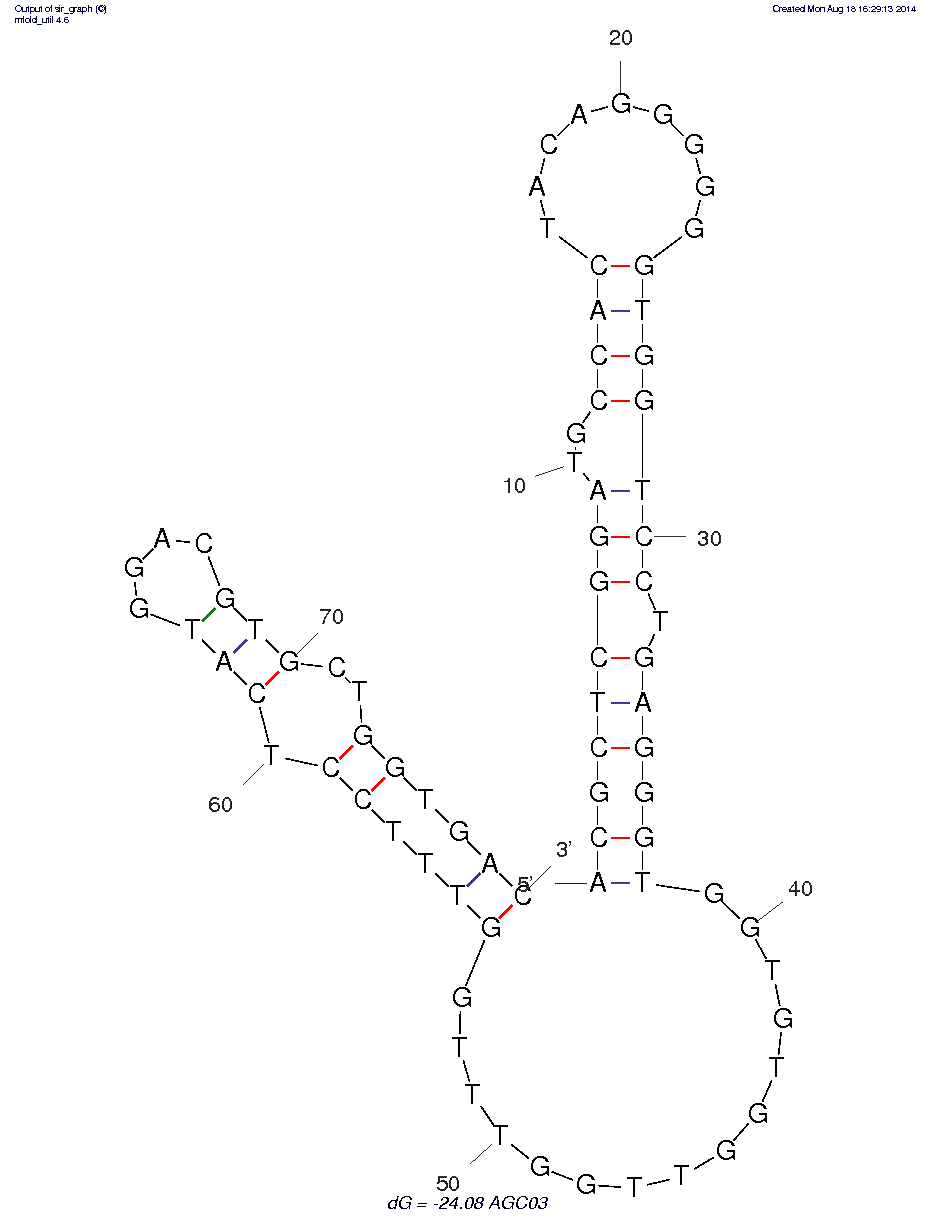 ACG03 structure