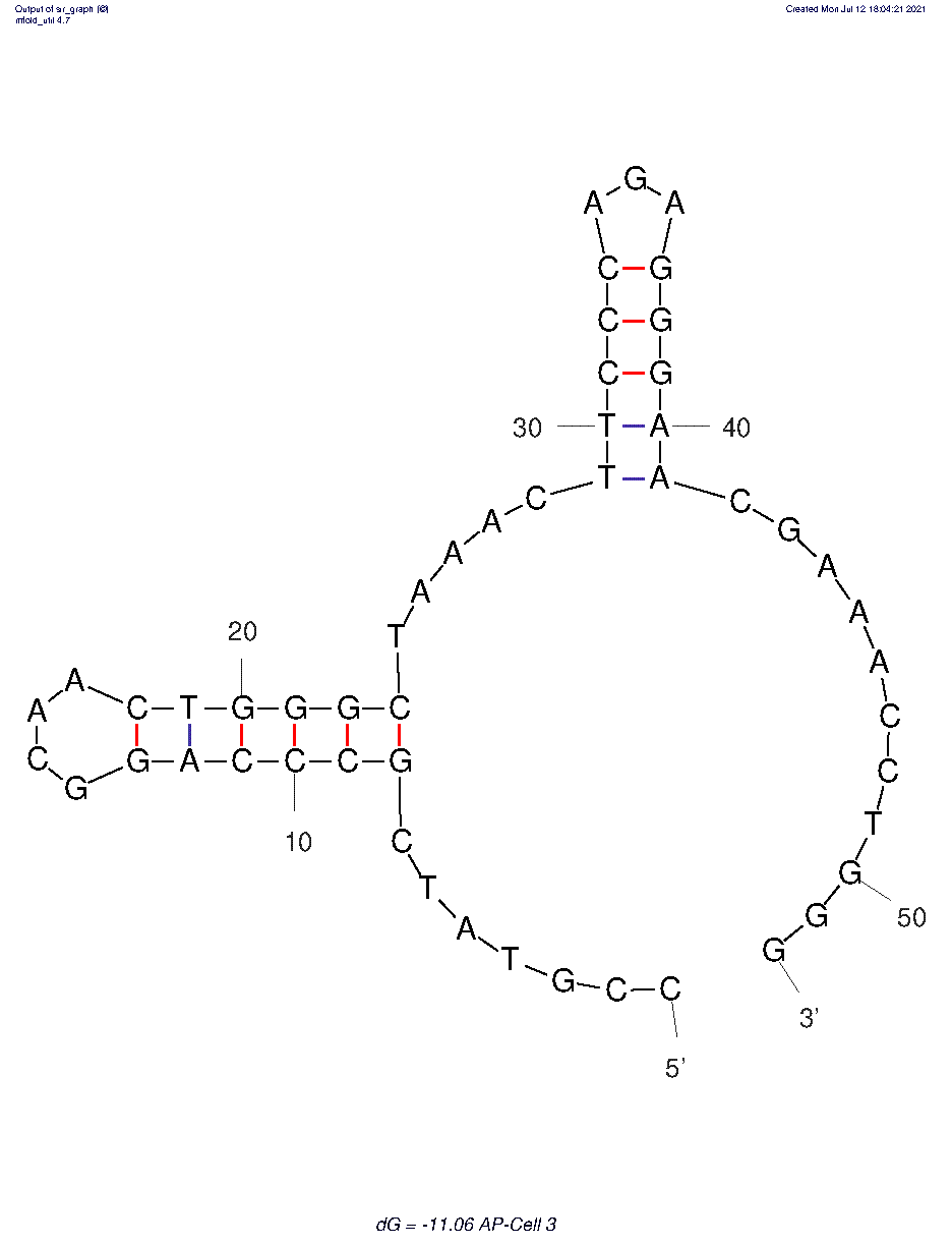#AP-Cell 3 structure