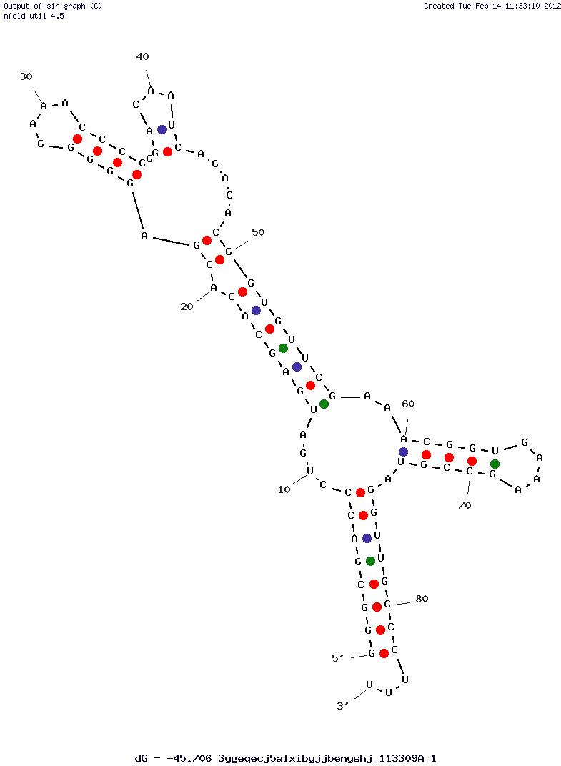 ADP structure