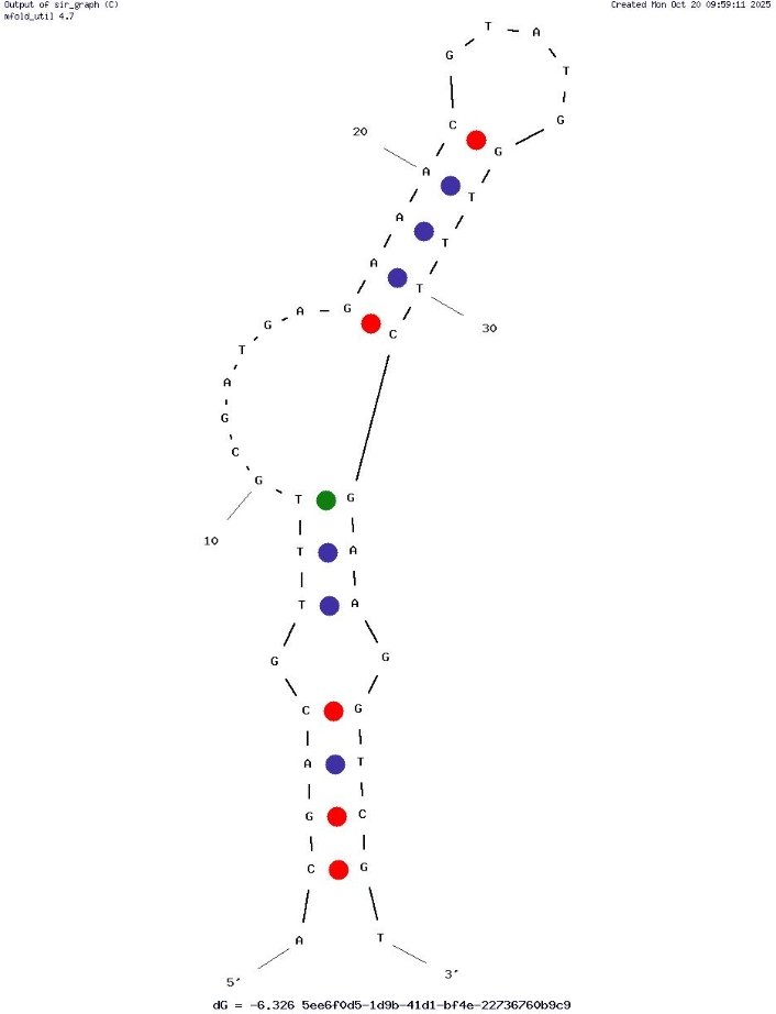Ade1301b structure