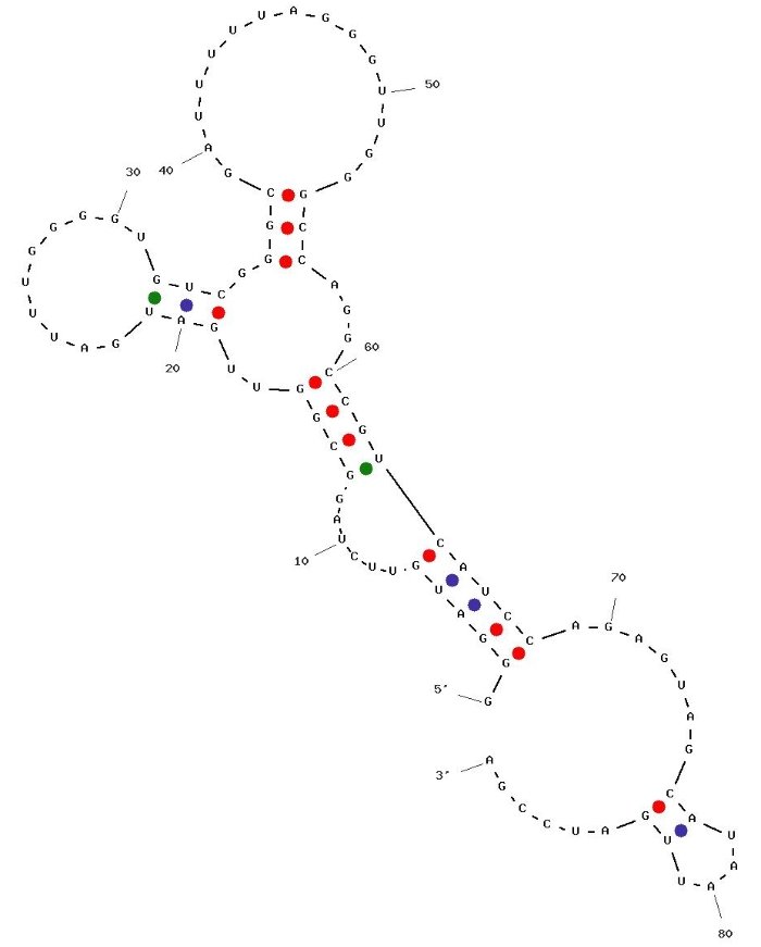 E2 against amyloid β-peptide structure