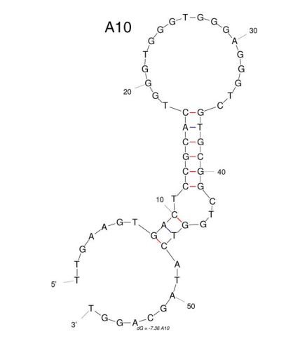 A10 structure