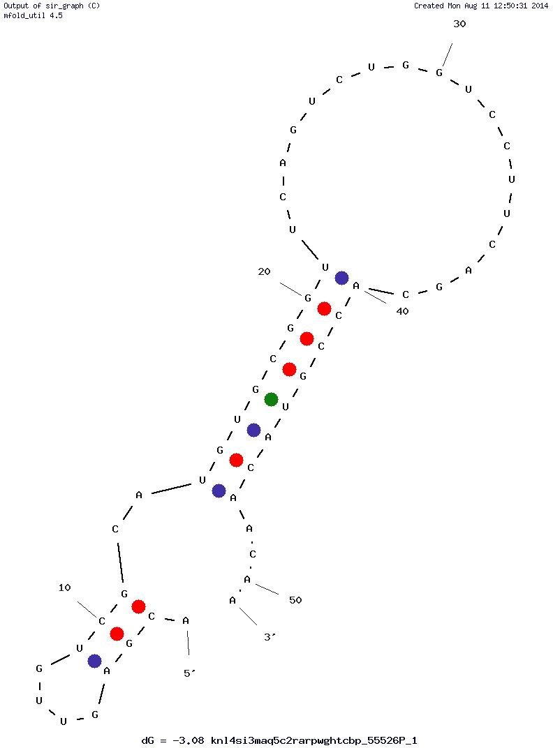 Periostin Aptamer (PNDA-3) structure