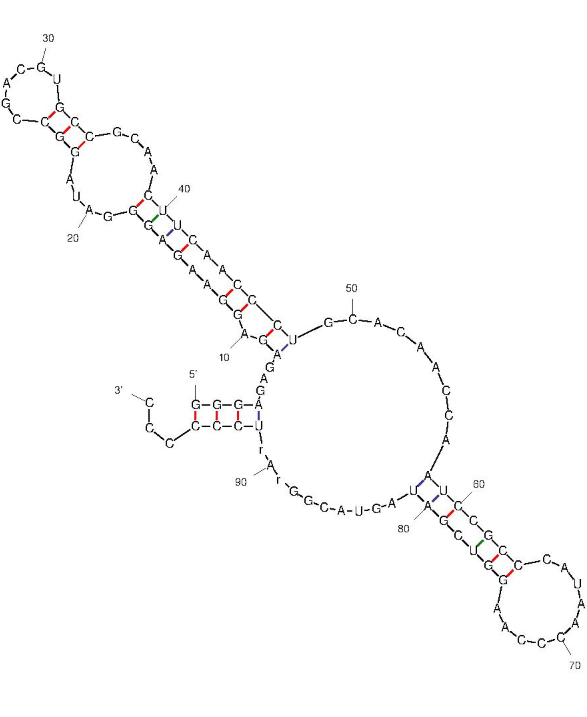M9-9 structure