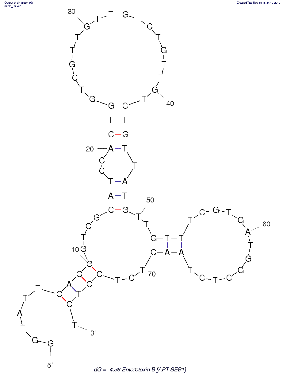 Enterotoxin B (APT SEB1) structure