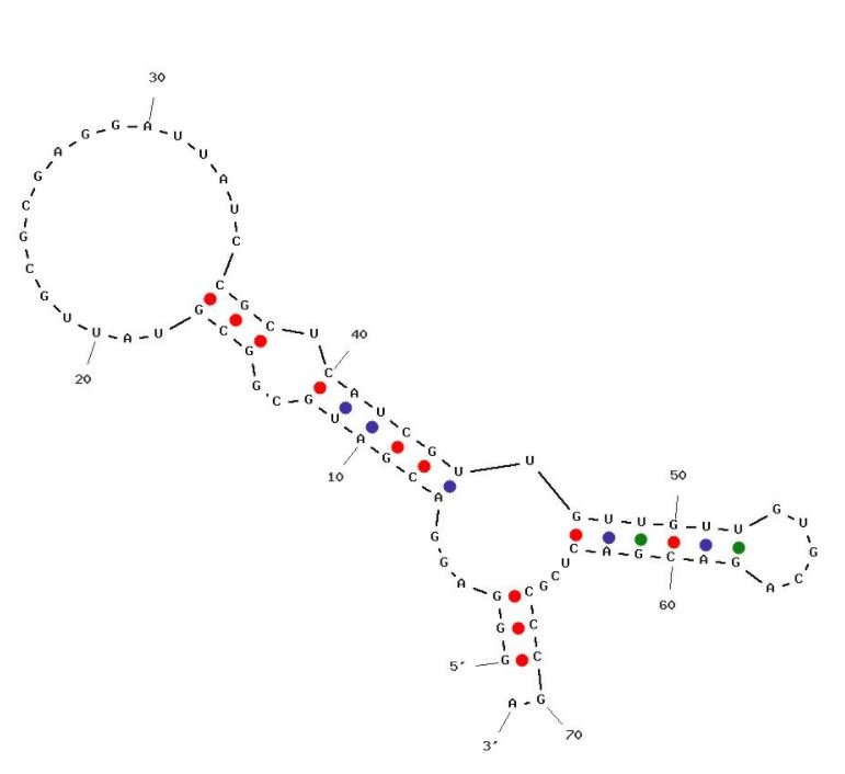 A15 structure