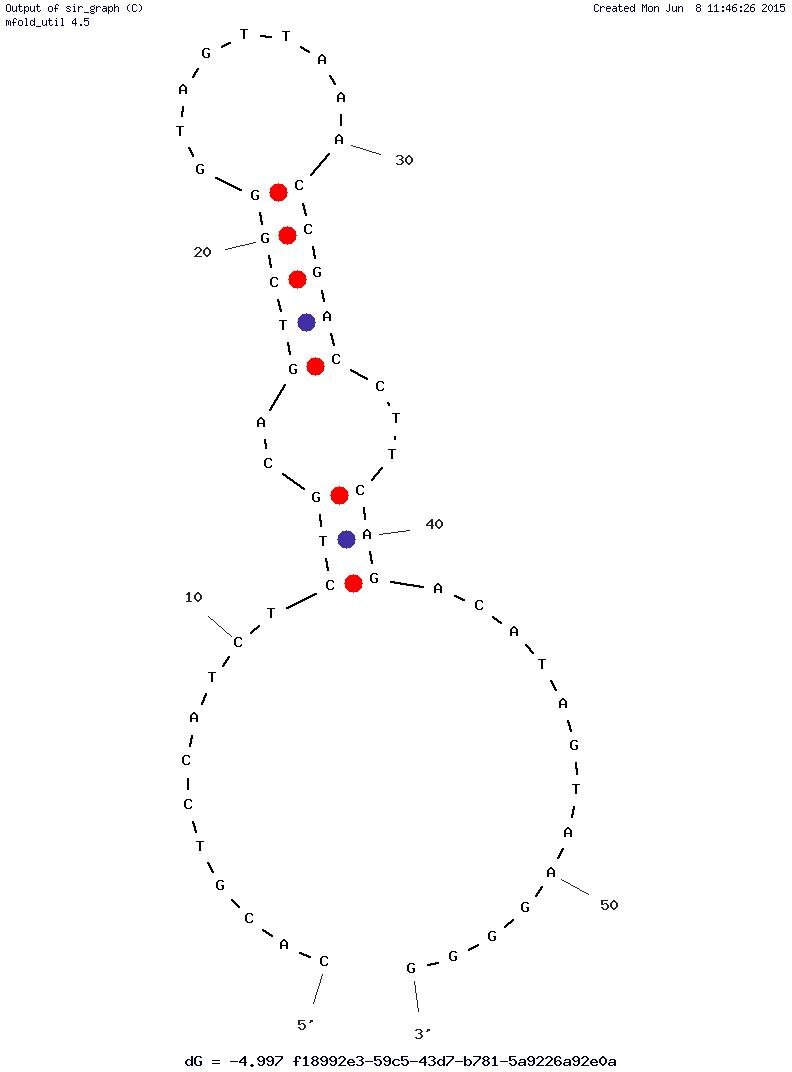 Uranium DNAzyme structure