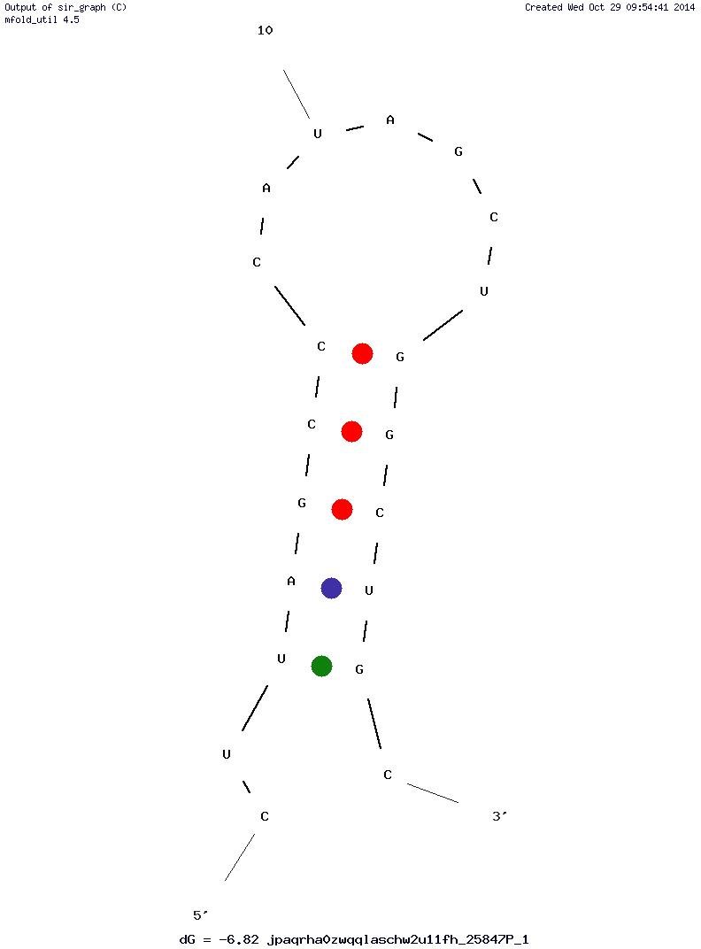 Short Mitomer2 against Mitochondria structure