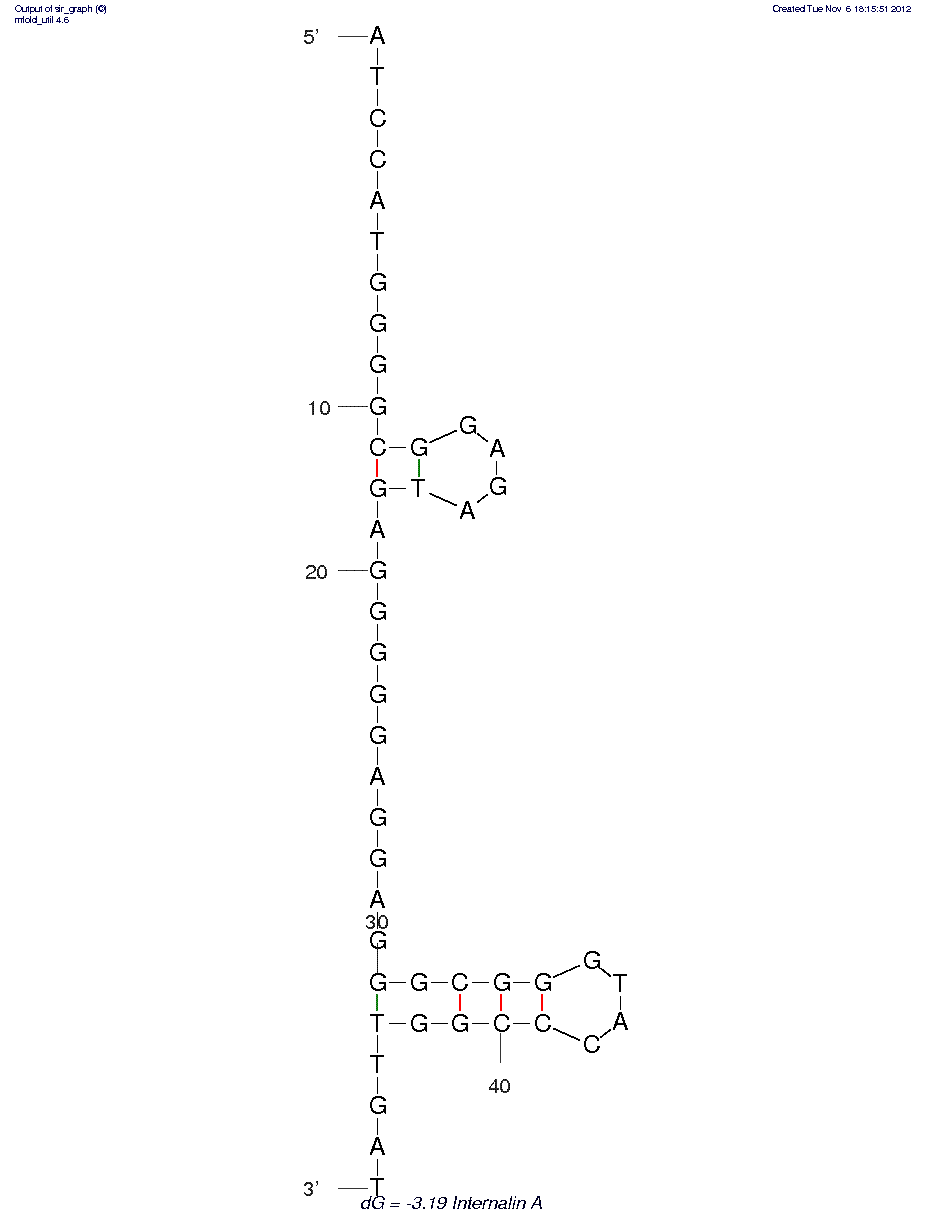 Internalin A of Listeria monocytogenes structure