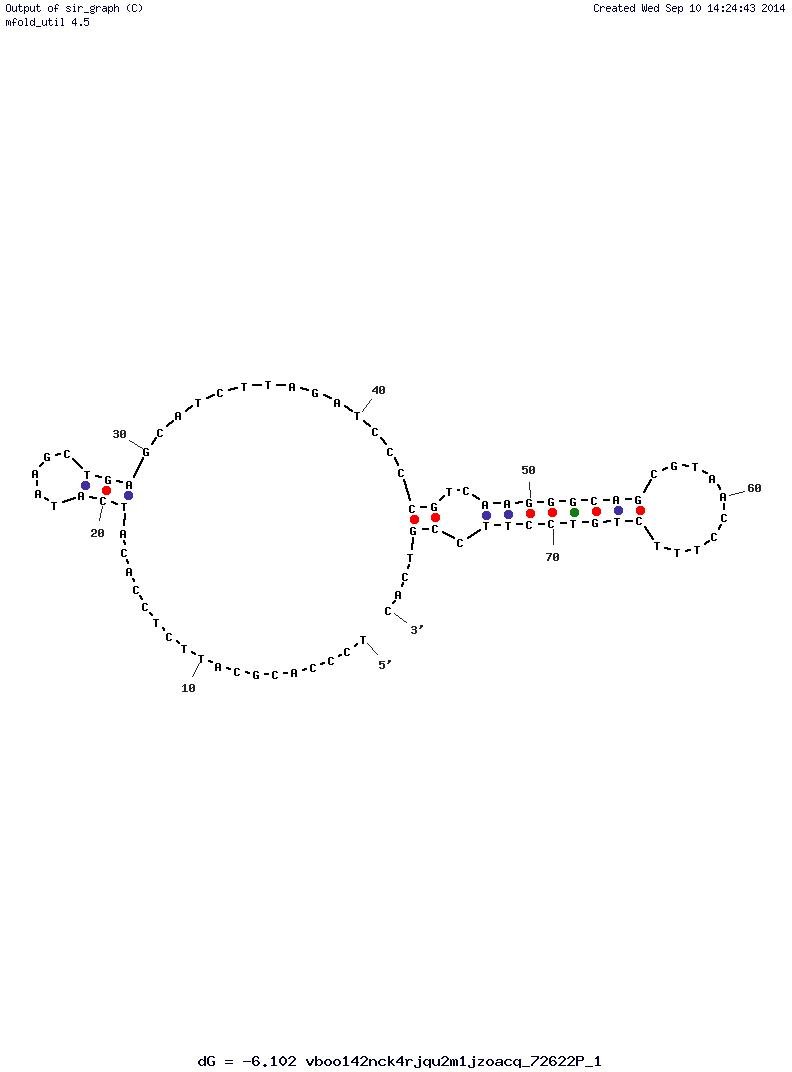 Aptamer ID 1 structure