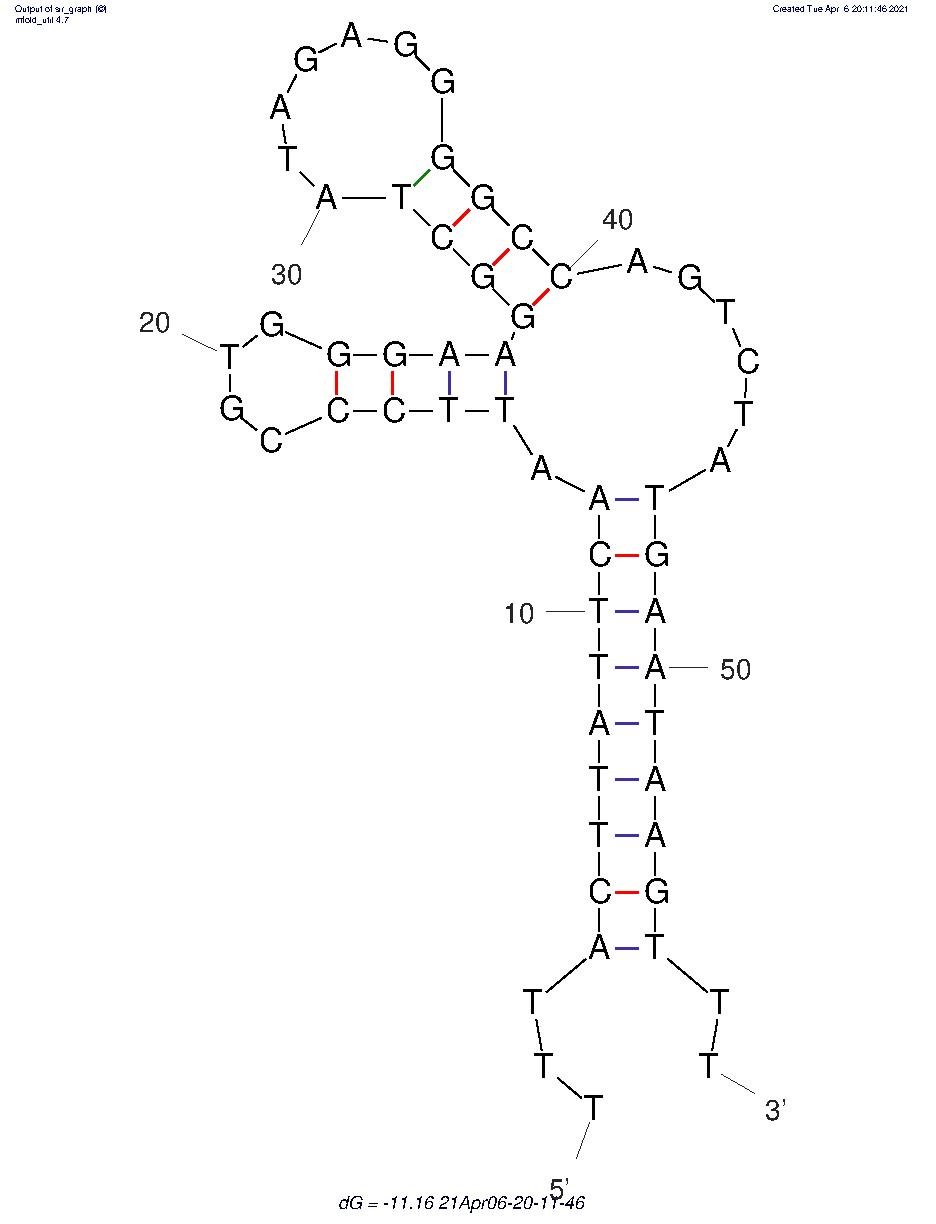 Sgc-3b structure