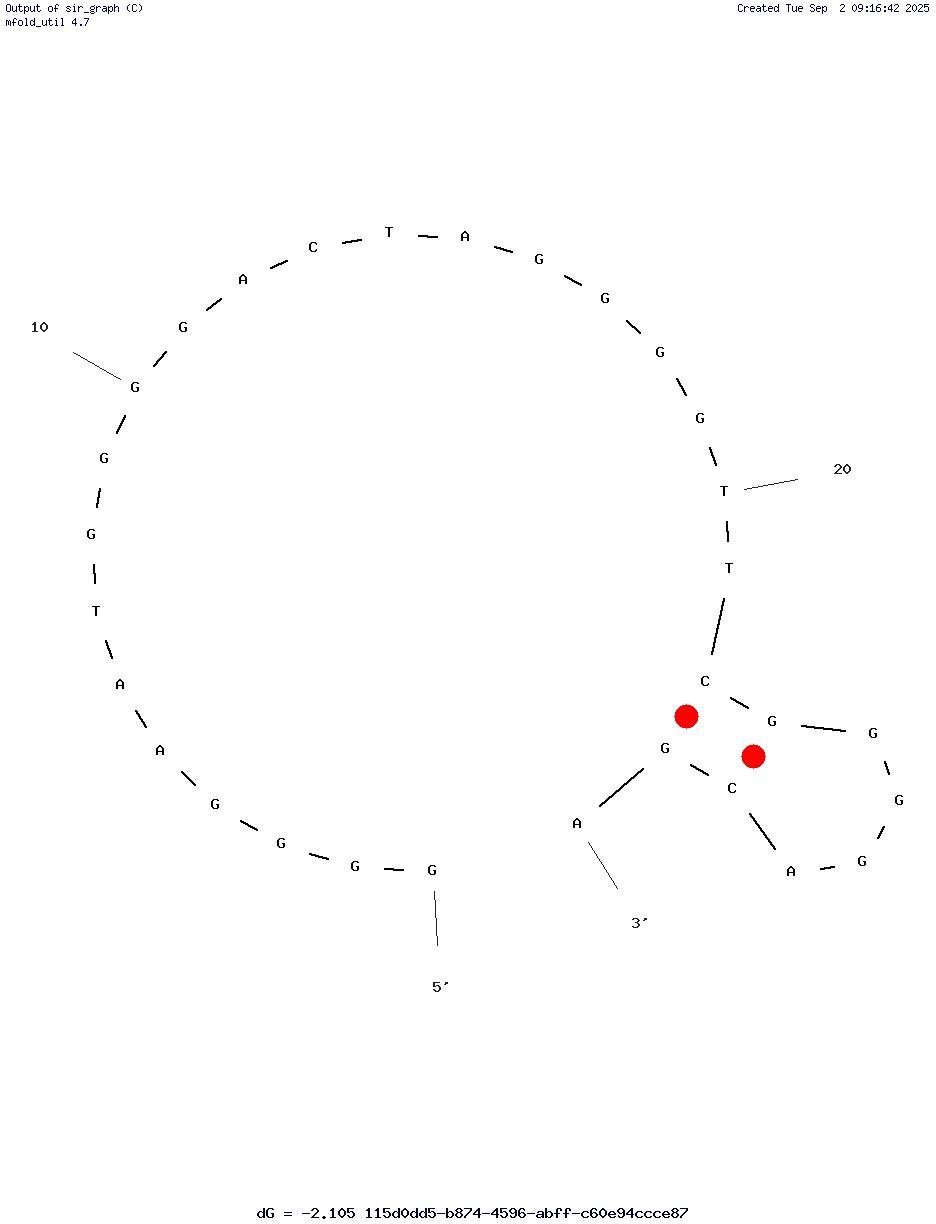 Apt 21-25 structure