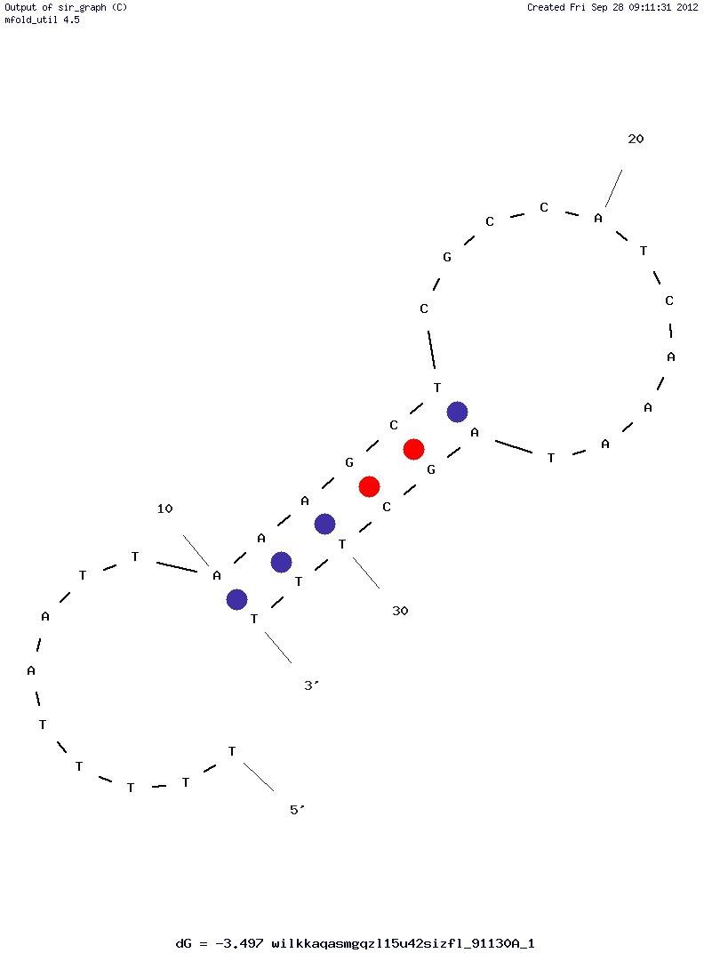PSA aptamer (PSap4#5) structure