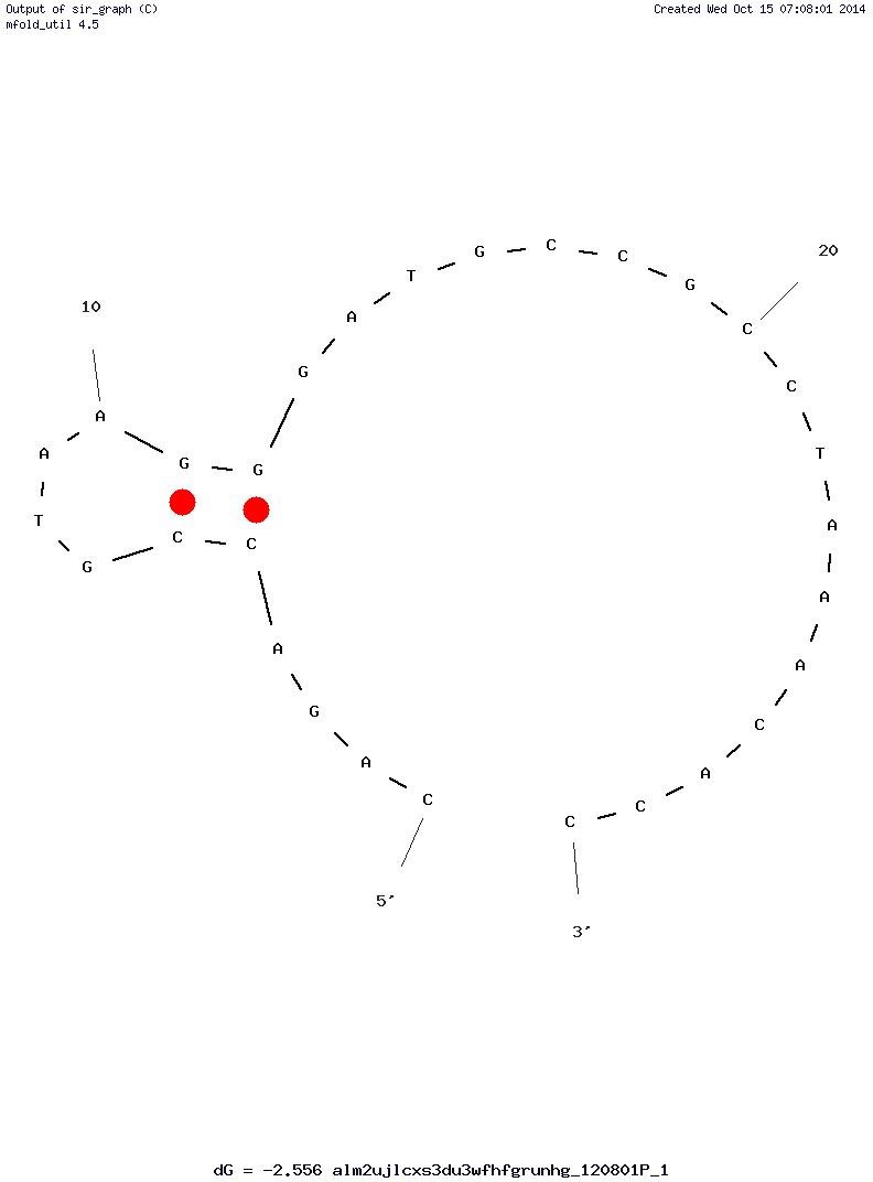 2-PA structure