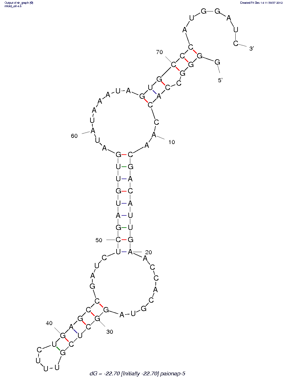 Plasminogen Activator Inhibitor-1 (paionap-5) structure