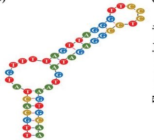 NC3S structure