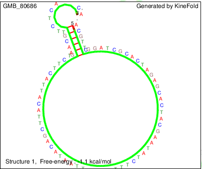 GWDB-30 structure