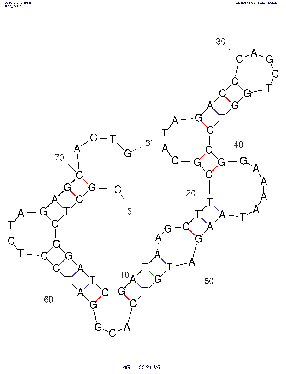 V5 structure