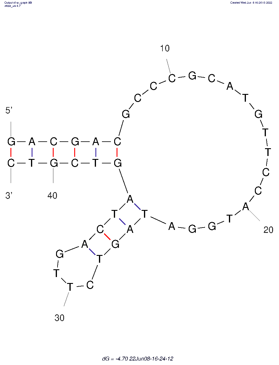CSS.1 structure