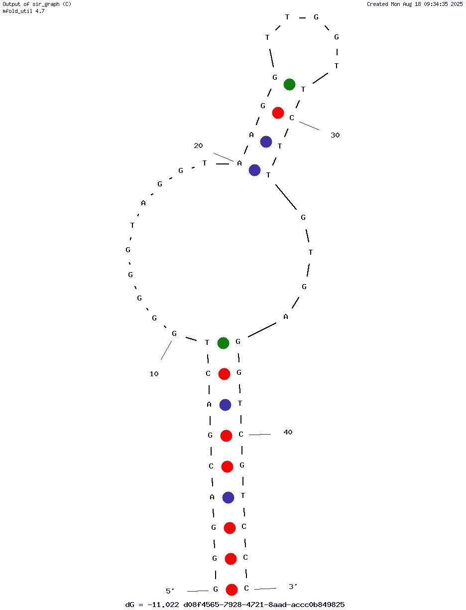 FX2 structure