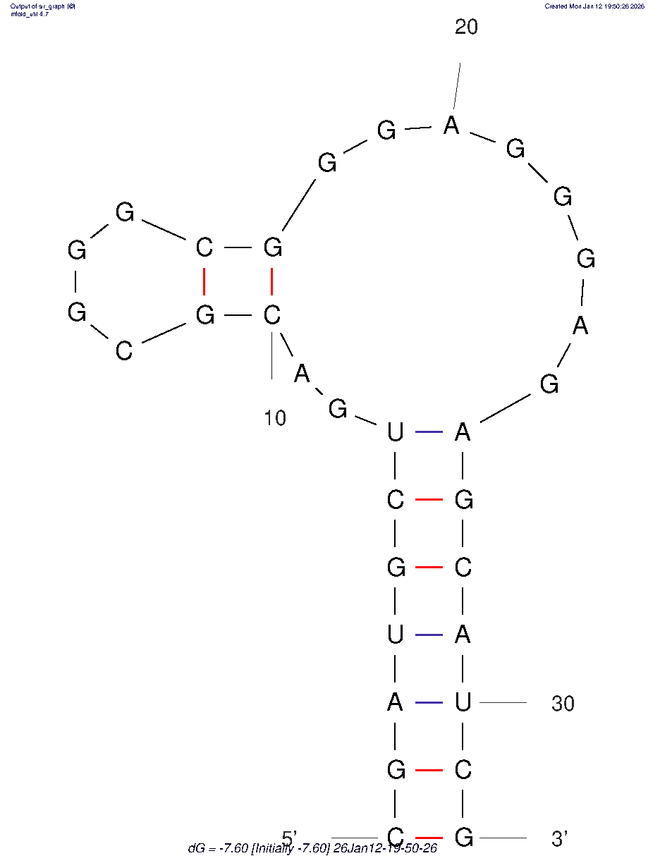 L-Apt.G3 structure