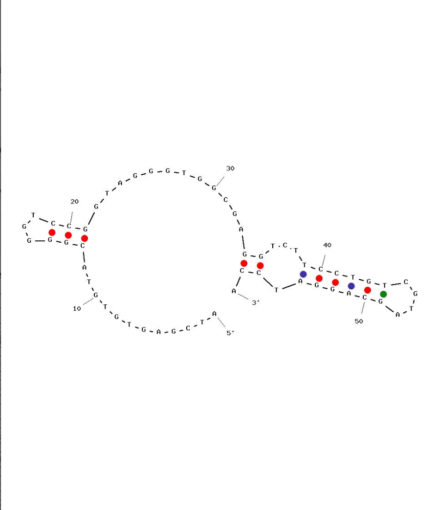 Aptamer F5R1 against a-Synuclein in Parkinson’s Disease structure