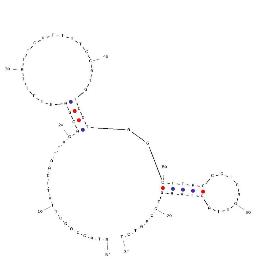 NC23 structure