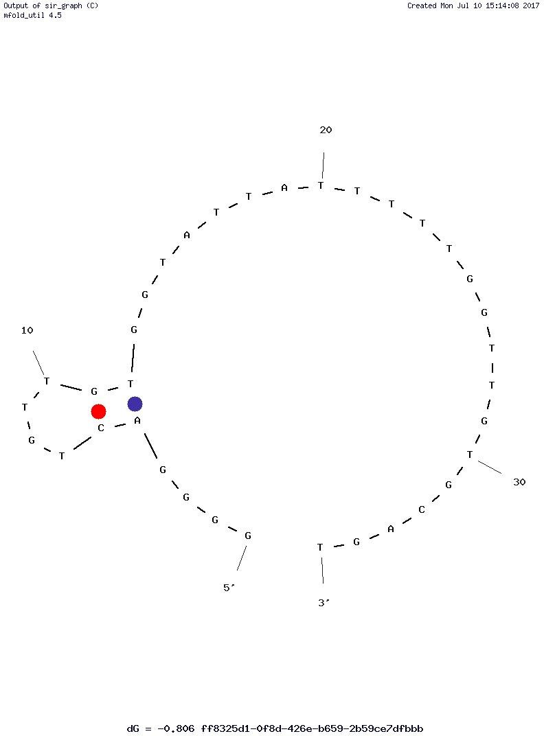 Cd(II)-specific aptamer (CAP) structure