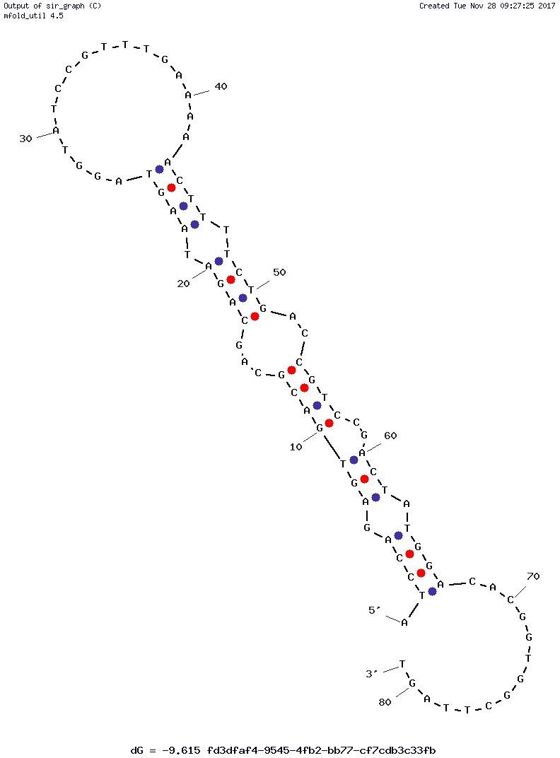 GR-3 structure