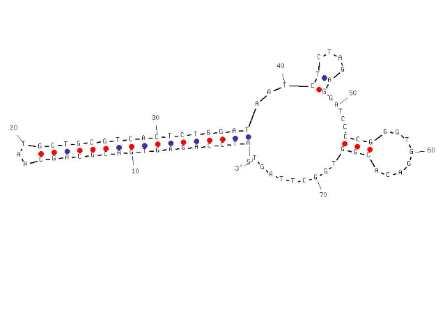 4VA-Apt21 structure