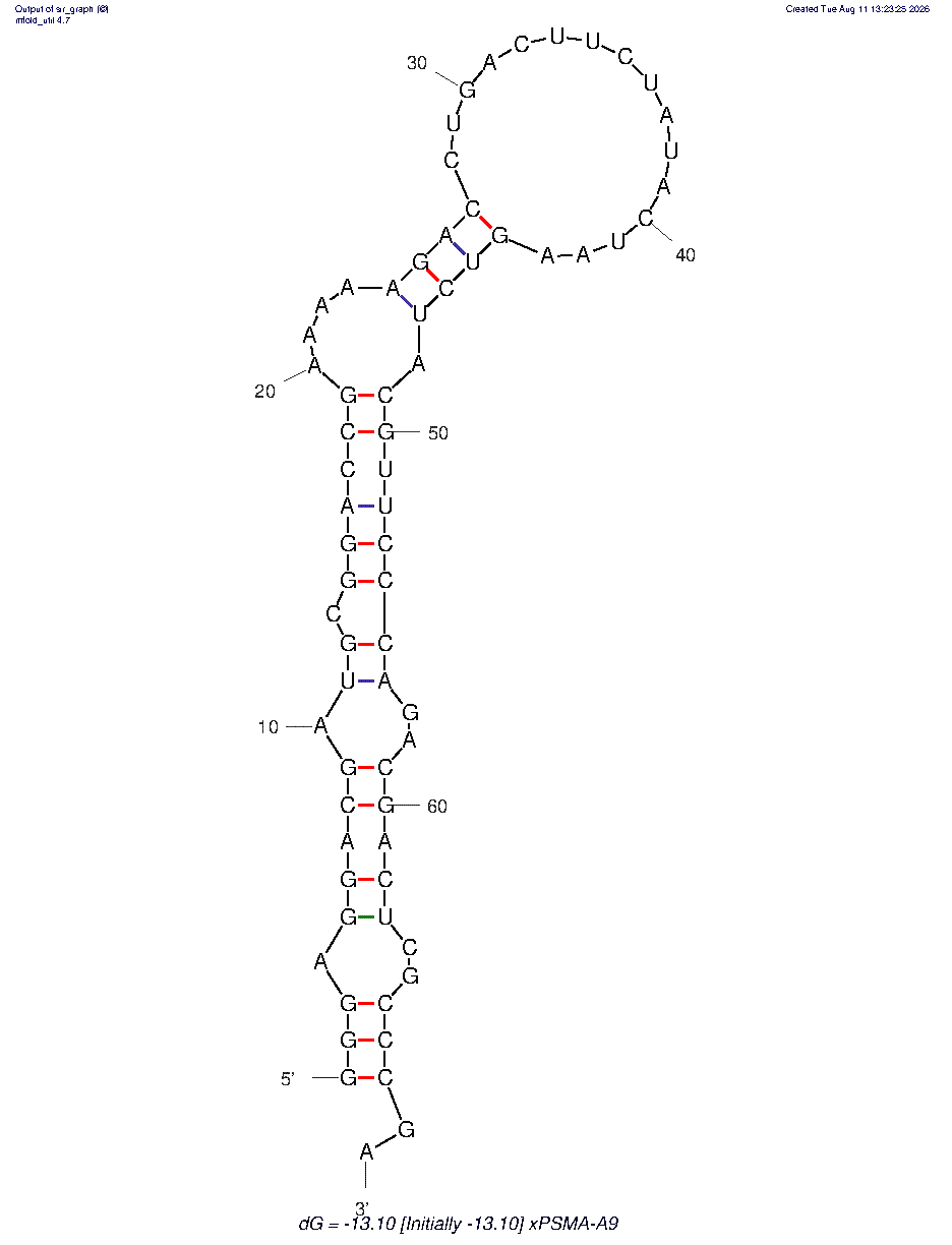 Prostate-specific membrane antigen (xPSM-A9) structure
