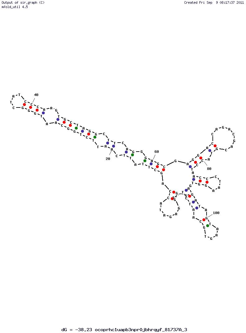 Protein Tyrosine Phosphatase (N71yc16) structure