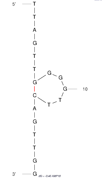 AMP18 structure